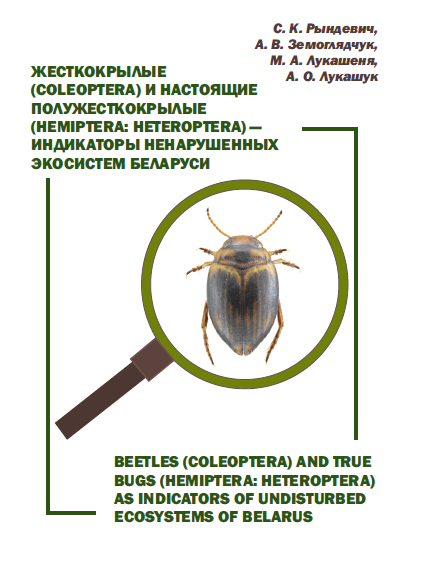 Эскиз